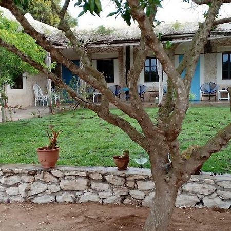 La Maison Essaouira Hotell Eksteriør bilde