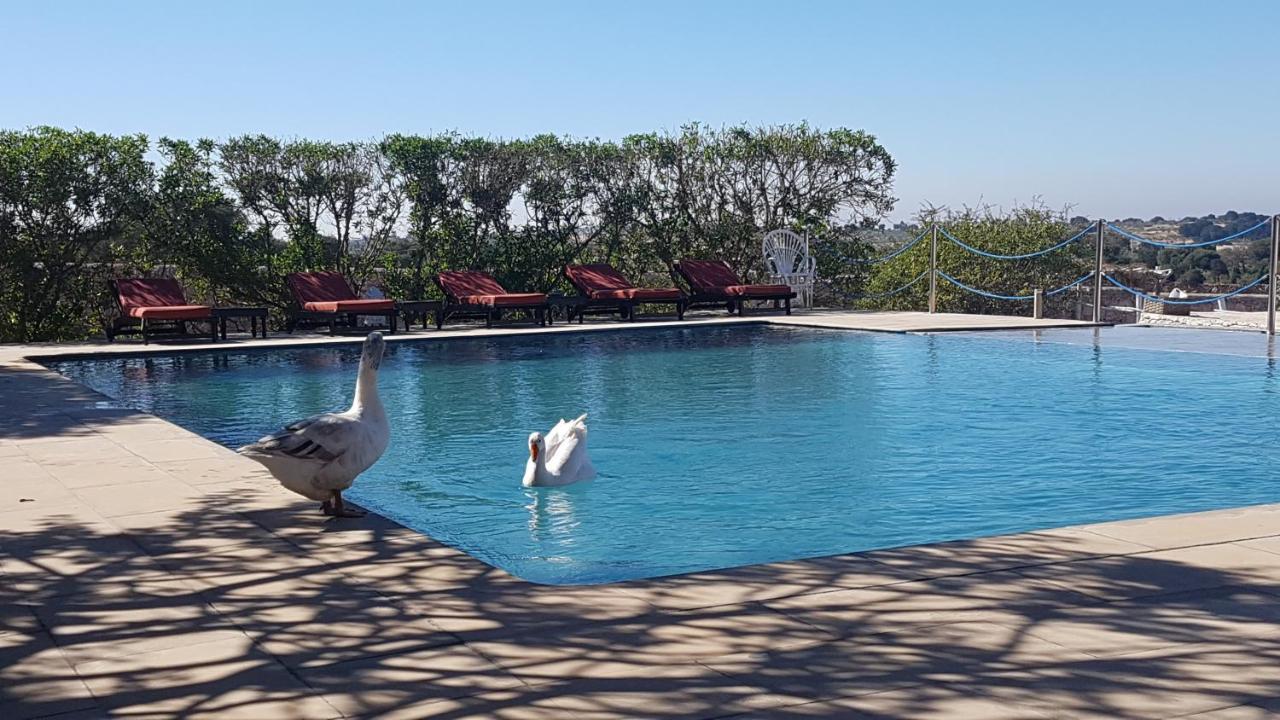 La Maison Essaouira Hotell Eksteriør bilde